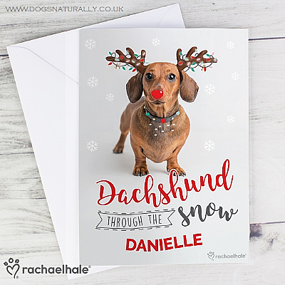 Personalised Dachshund Christmas Card